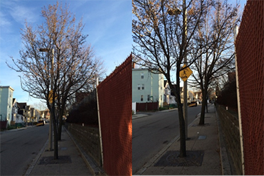 Figure 6-2, Narrow Sidewalk on Richfield Street: Figure 6-2 presents pictures taken by MPO staff of trees and their tree wells narrowing the pedestrian zone along the sidewalk on Richfield Street.